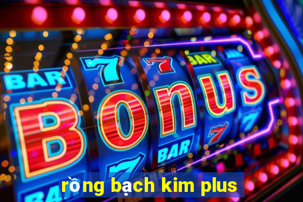 rồng bạch kim plus