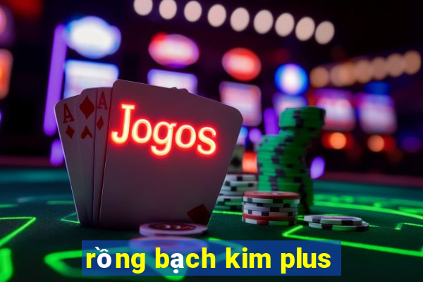 rồng bạch kim plus