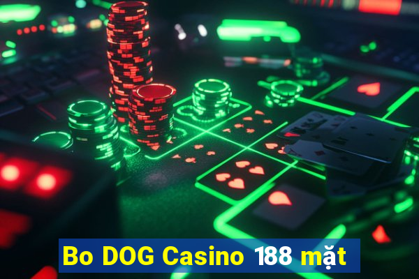 Bo DOG Casino 188 mặt