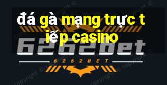 đá gà mạng trực tiếp casino