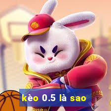 kèo 0.5 là sao