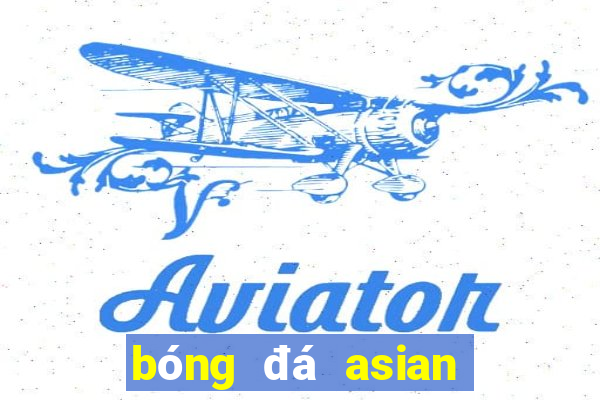 bóng đá asian cup hôm nay