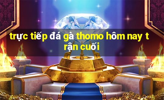 trực tiếp đá gà thomo hôm nay trận cuối