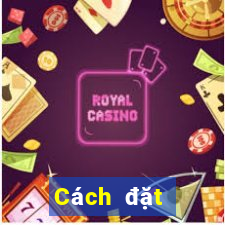 Cách đặt cược XSVL ngày 11