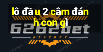 lô đầu 2 câm đánh con gì