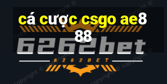 cá cược csgo ae888