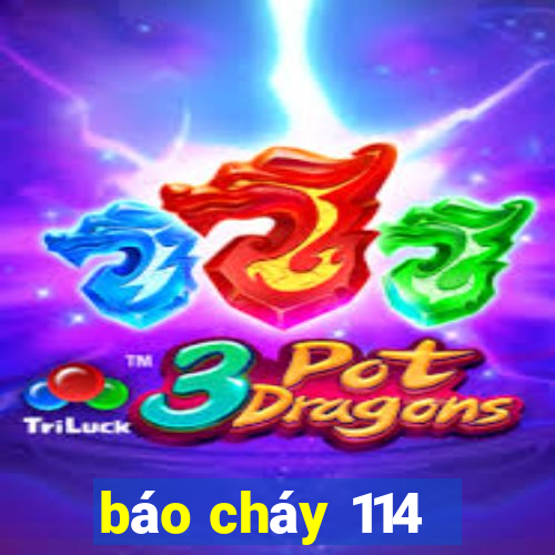 báo cháy 114