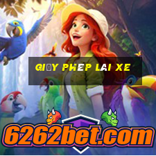 giấy phép lái xe