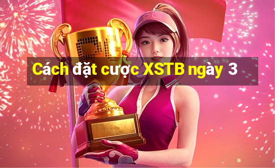 Cách đặt cược XSTB ngày 3