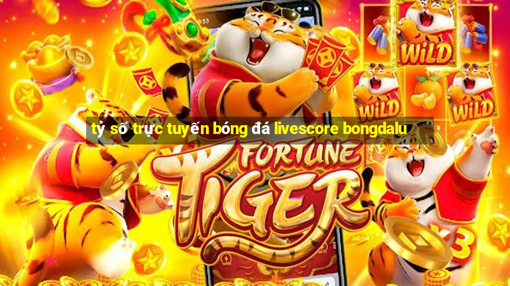 tỷ số trực tuyến bóng đá livescore bongdalu