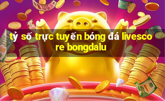 tỷ số trực tuyến bóng đá livescore bongdalu