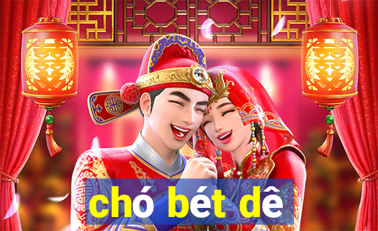 cho bet de