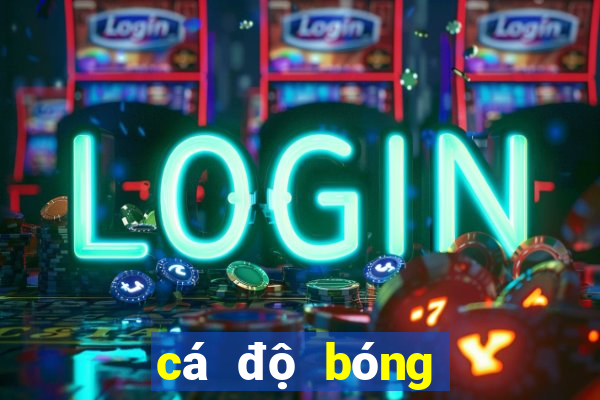 cá độ bóng đá dkbl