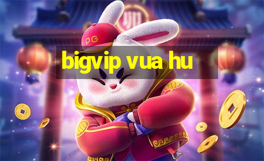 bigvip vua hu