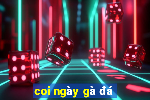 coi ngày gà đá