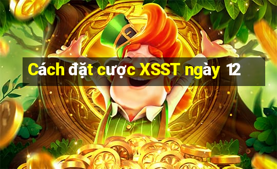 Cách đặt cược XSST ngày 12