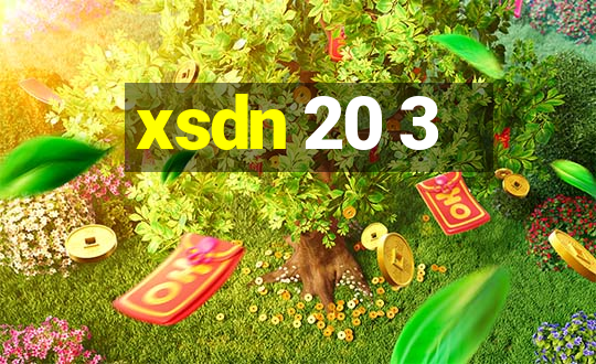 xsdn 20 3