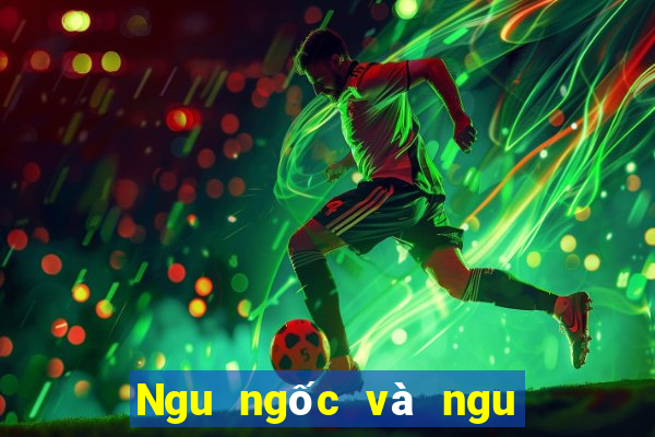 Ngu ngốc và ngu ngốc giải trí