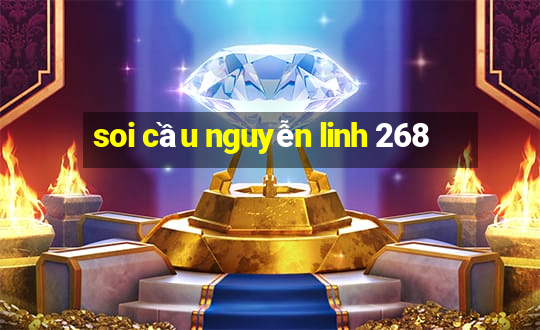 soi cầu nguyễn linh 268