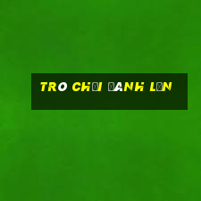 trò chơi đánh lộn