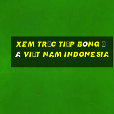 xem trực tiếp bóng đá việt nam indonesia