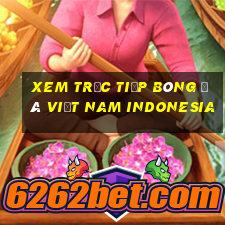 xem trực tiếp bóng đá việt nam indonesia