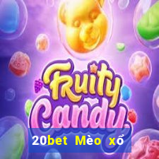 20bet Mèo xổ số 8