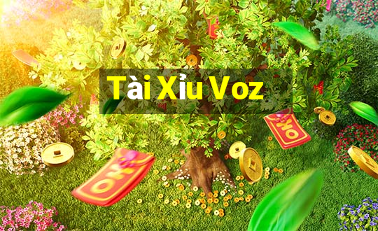 Tài Xỉu Voz