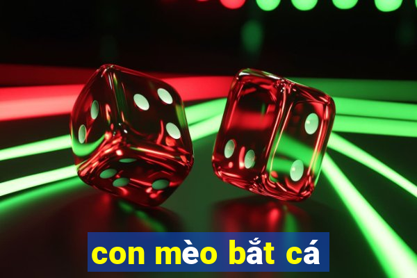 con mèo bắt cá