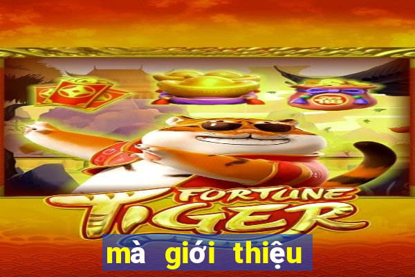 mà giới thiệu bon club