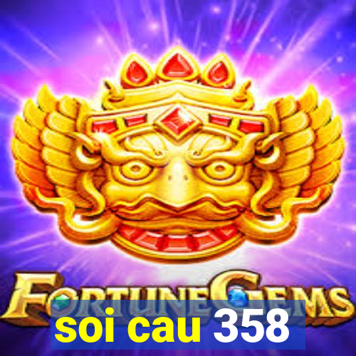 soi cau 358