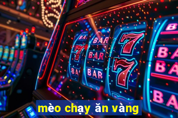 mèo chạy ăn vàng