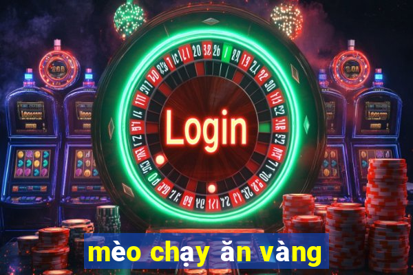 mèo chạy ăn vàng