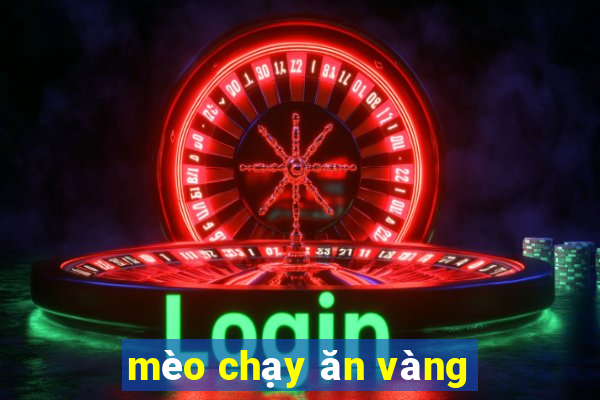 mèo chạy ăn vàng