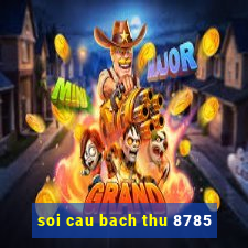 soi cau bach thu 8785