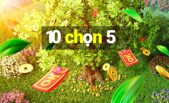 10 chọn 5