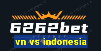 vn vs indonesia