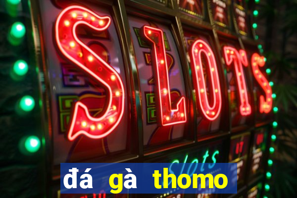 đá gà thomo hôm nay trận 5