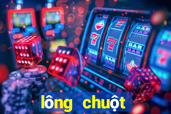 lông chuột hamster bị bết