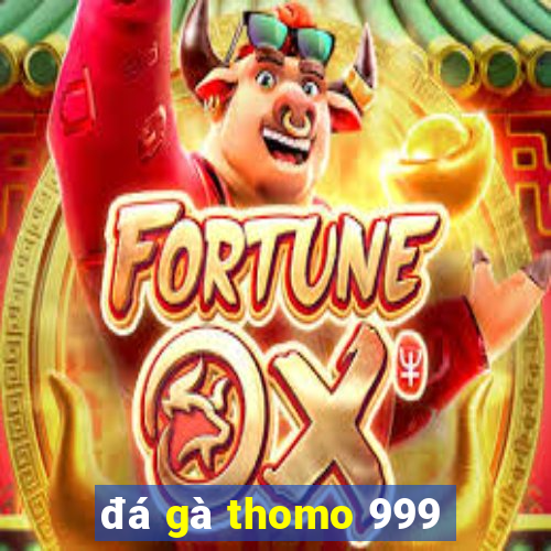 đá gà thomo 999