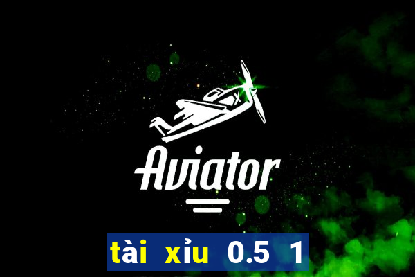 tài xỉu 0.5 1 là gì