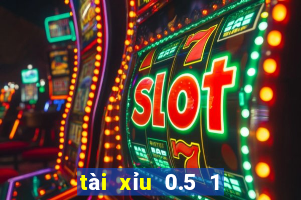 tài xỉu 0.5 1 là gì