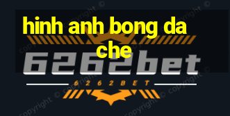 hinh anh bong da che