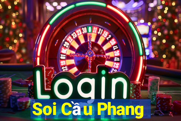 Soi Cầu Phang