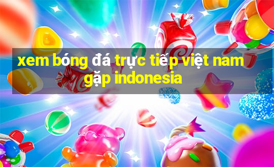 xem bóng đá trực tiếp việt nam gặp indonesia