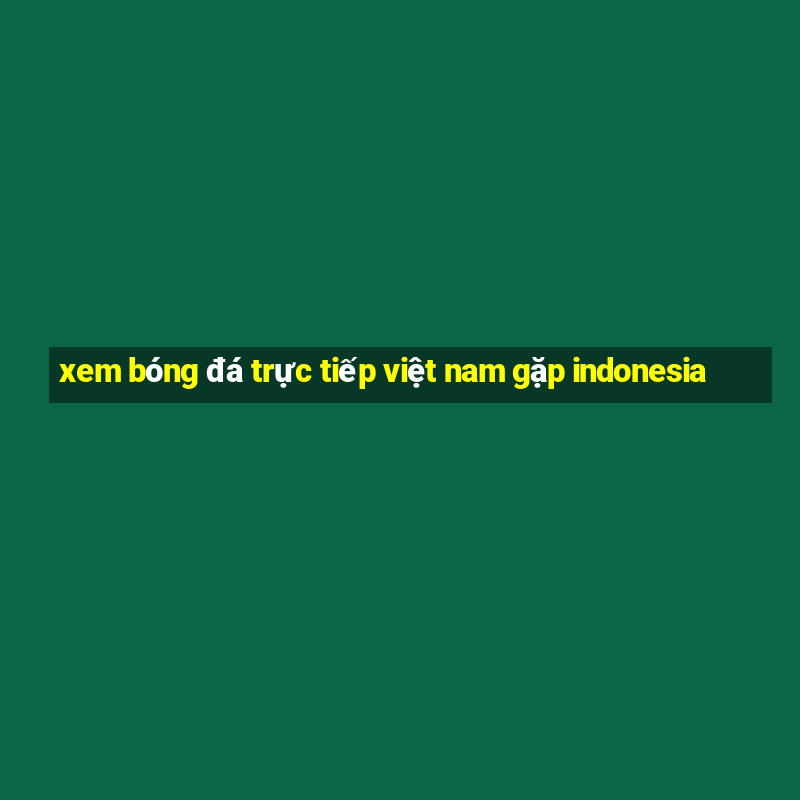 xem bóng đá trực tiếp việt nam gặp indonesia