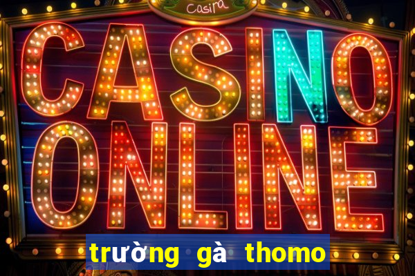 trường gà thomo ở đâu