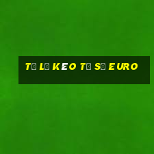 tỷ lệ kèo tỉ số euro