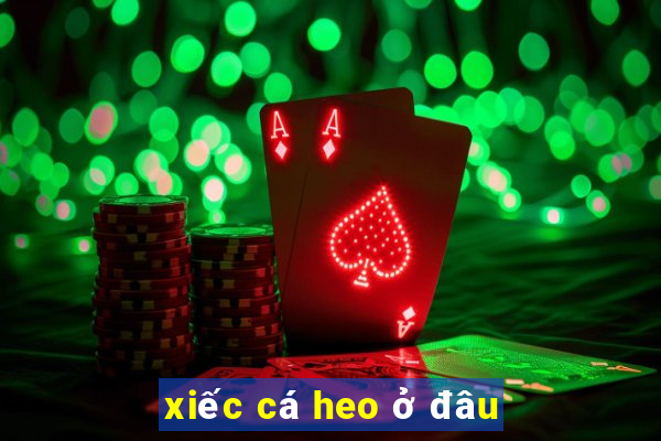 xiếc cá heo ở đâu