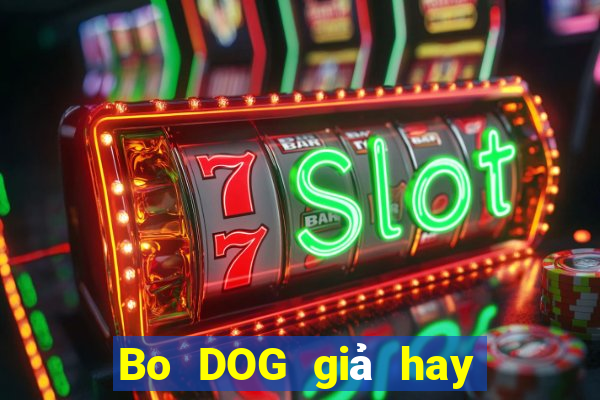 Bo DOG giả hay không giả